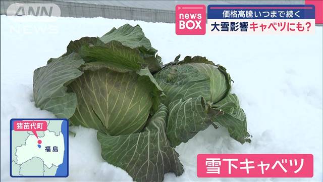 価格高騰いつまで続く　キャベツにも大雪影響？