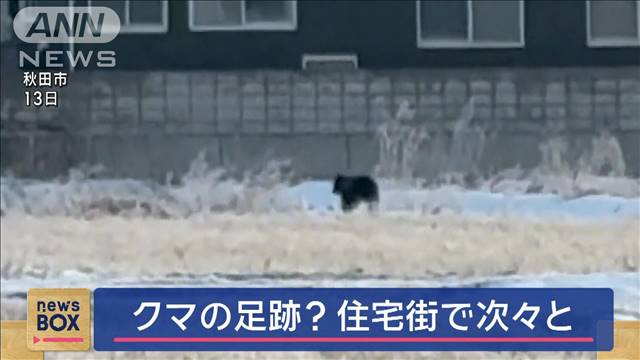 クマの足跡？　秋田市内の住宅街で次々見つかる