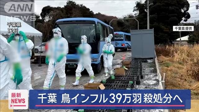 千葉 鳥インフル 39万羽殺処分へ