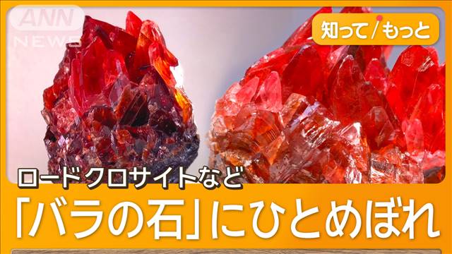 コレクターを魅了！地球が生んだ美石アート　鉱物標本の世界【グッド！いちおし】