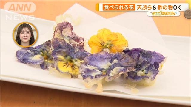 人気上昇！食べられる花「エディブルフラワー」天ぷら＆酢の物も【グッド！いちおし】