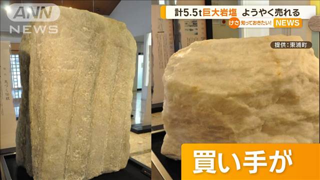 郷土資料館から撤去され5年　巨大岩塩2つの買い手がようやく見つかる