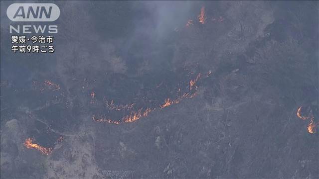 愛媛・岡山の山火事　発生3日目…今治市では住宅に火の手迫る